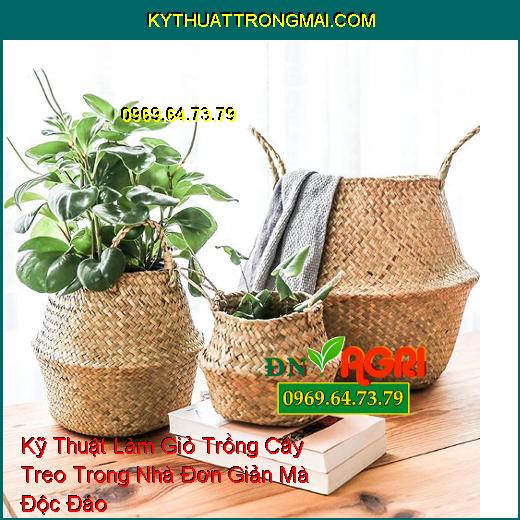 Kỹ Thuật Làm Giỏ Trồng Cây Treo Trong Nhà Đơn Giản Mà Độc Đáo