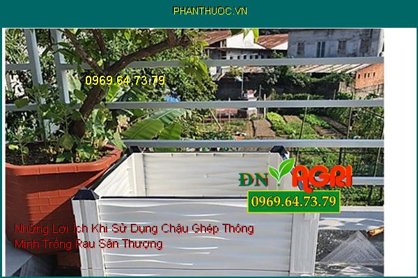 Những Lợi Ích Khi Sử Dụng Chậu Ghép Thông Minh Trồng Rau Sân Thượng