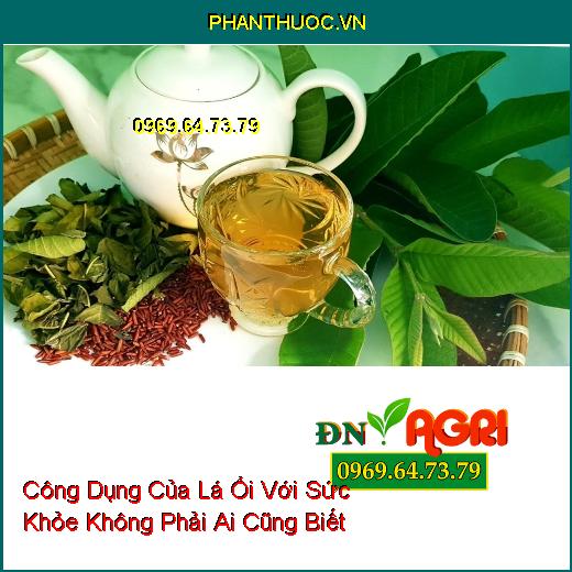 Công Dụng Của Lá Ổi Với Sức Khỏe Không Phải Ai Cũng Biết