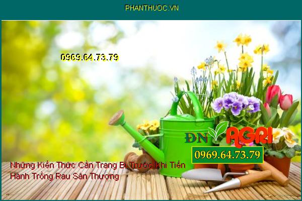 Những Kiến Thức Cần Trang Bị Trước Khi Tiến Hành Trồng Rau Sân Thượng