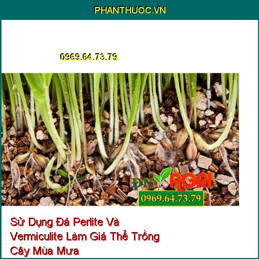 Sử Dụng Đá Perlite Và Vermiculite Làm Giá Thể Trồng Cây Mùa Mưa