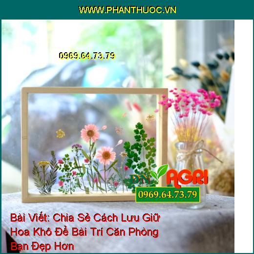 Chia Sẻ Cách Lưu Giữ Hoa Khô Để Bài Trí Căn Phòng Bạn Đẹp Hơn