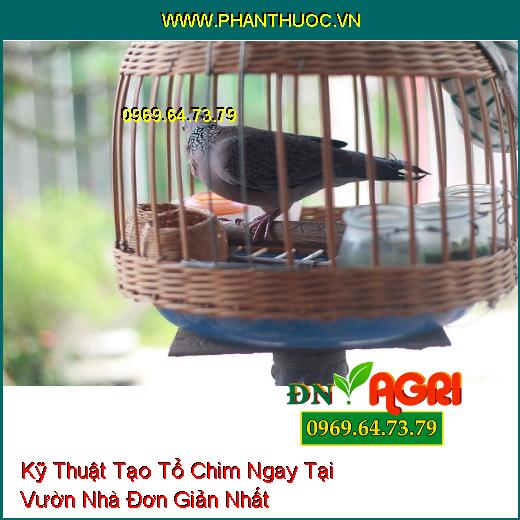 Kỹ Thuật Tạo Tổ Chim Ngay Tại Vườn Nhà Đơn Giản Nhất