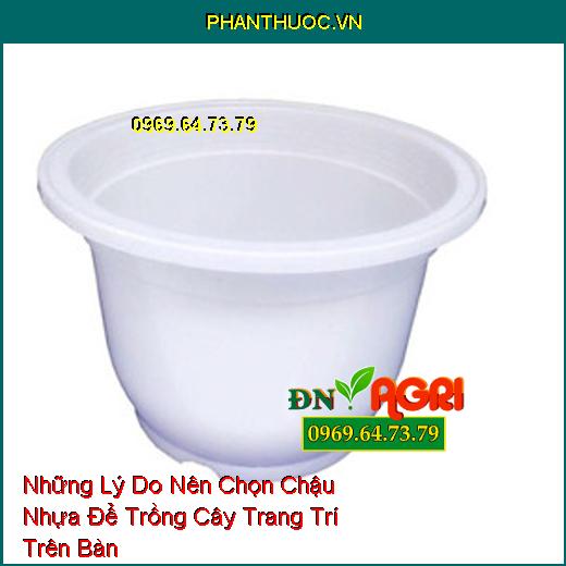 Những Lý Do Nên Chọn Chậu Nhựa Để Trồng Cây Trang Trí Trên Bàn