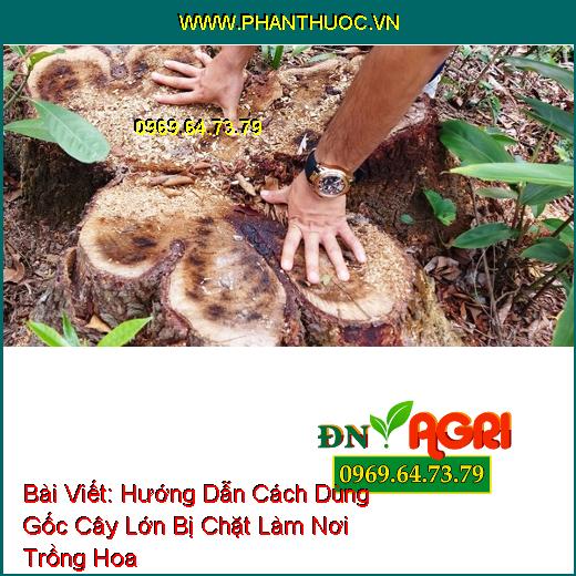 Hướng Dẫn Cách Dùng Gốc Cây Lớn Bị Chặt Làm Nơi Trồng Hoa Hiệu Quả Trong Khu Vườn Nhà