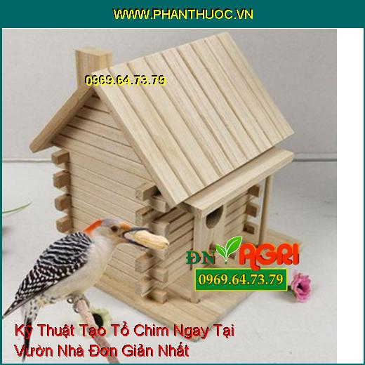 Kỹ Thuật Tạo Tổ Chim Ngay Tại Vườn Nhà Đơn Giản Nhất