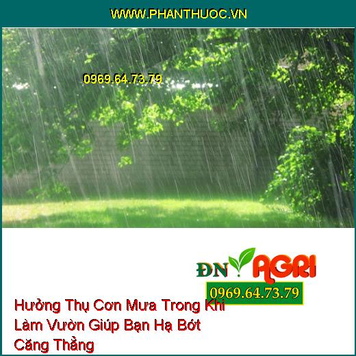 Hưởng Thụ Cơn Mưa Trong Khi Làm Vườn Giúp Bạn Hạ Bớt Căng Thẳng