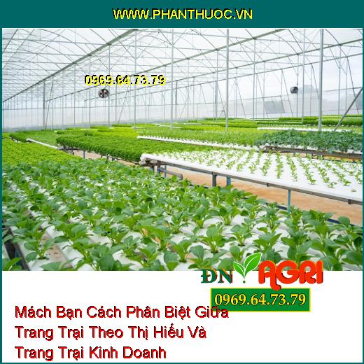 Mách Bạn Cách Phân Biệt Giữa Trang Trại Theo Thị Hiếu Và Trang Trại Kinh Doanh