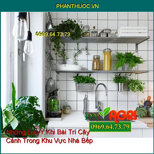 Những Lưu Ý Khi Bài Trí Cây Cảnh Trong Khu Vực Nhà Bếp