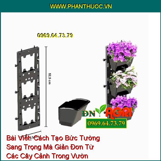 Cách Tạo Bức Tường Sang Trọng Mà Giản Đơn Từ Các Cây Cảnh Trong Vườn