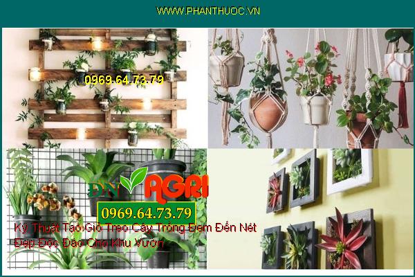 Kỹ Thuật Tạo Giỏ Treo Cây Trồng Đem Đến Nét Đẹp Độc Đáo Cho Khu Vườn