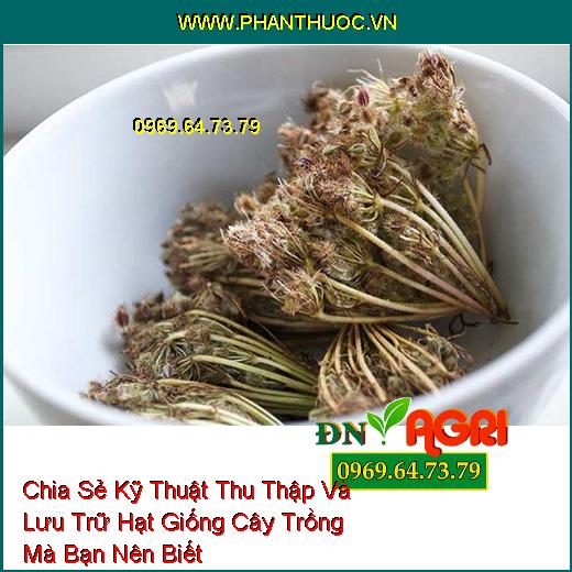 Chia Sẻ Kỹ Thuật Thu Thập Và Lưu Trữ Hạt Giống Cây Trồng Mà Bạn Nên Biết