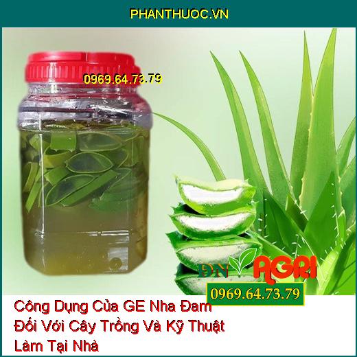 Công Dụng Của GE Nha Đam Đối Với Cây Trồng Và Kỹ Thuật Làm Tại Nhà