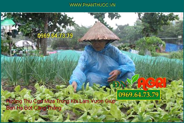 Hưởng Thụ Cơn Mưa Trong Khi Làm Vườn Giúp Bạn Hạ Bớt Căng Thẳng