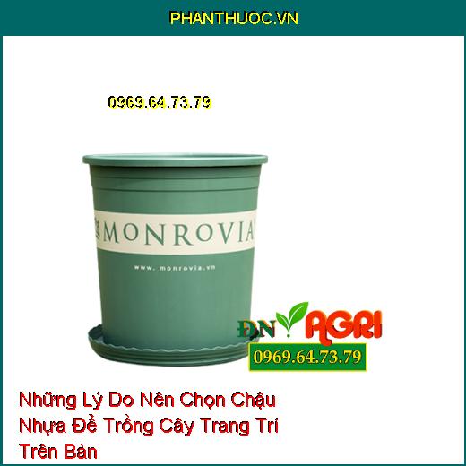 Những Lý Do Nên Chọn Chậu Nhựa Để Trồng Cây Trang Trí Trên Bàn