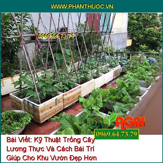 Kỹ Thuật Trồng Cây Lương Thực Và Cách Bài Trí Giúp Cho Khu Vườn Đẹp Hơn