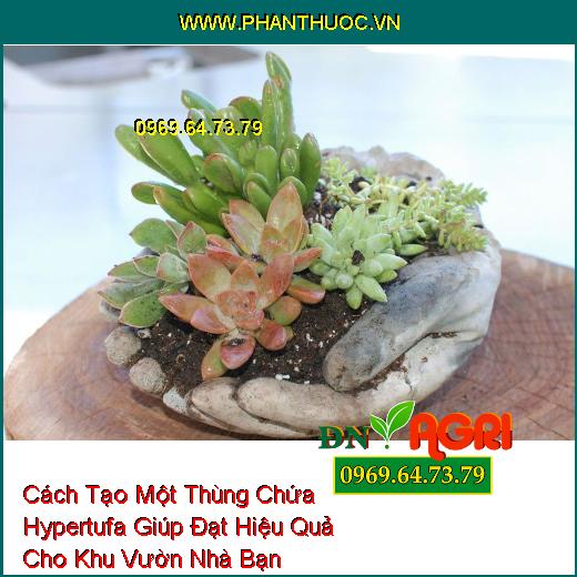 Cách Tạo Một Thùng Chứa Hypertufa Giúp Đạt Hiệu Quả Cho Khu Vườn Nhà Bạn