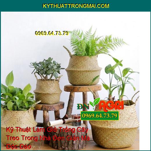 Kỹ Thuật Làm Giỏ Trồng Cây Treo Trong Nhà Đơn Giản Mà Độc Đáo