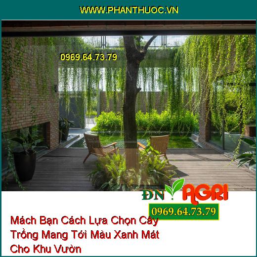 Mách Bạn Cách Lựa Chọn Cây Trồng Mang Tới Màu Xanh Mát Cho Khu Vườn