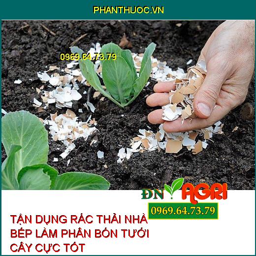 TẬN DỤNG RÁC THẢI NHÀ BẾP LÀM PHÂN BÓN TƯỚI CÂY CỰC TỐT