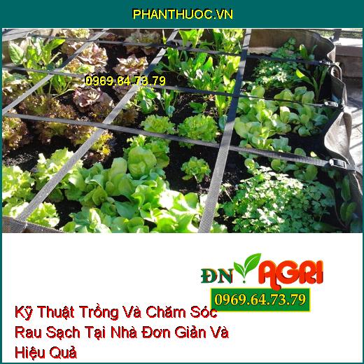 Kỹ Thuật Trồng Và Chăm Sóc Rau Sạch Tại Nhà Đơn Giản Và Hiệu Quả