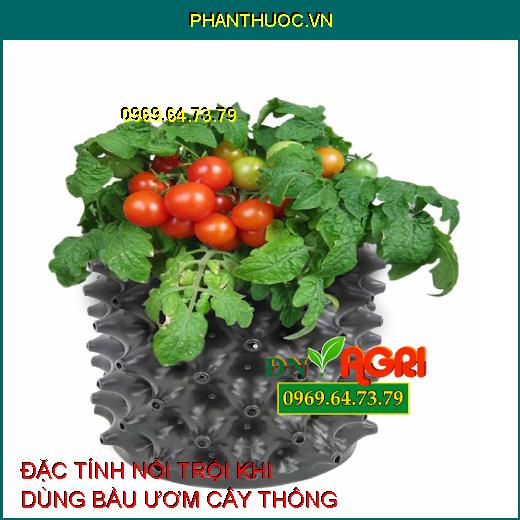 ĐẶC TÍNH NỔI TRỘI KHI DÙNG BẦU ƯƠM CÂY THÔNG MINH