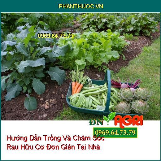 Hướng Dẫn Trồng Và Chăm Sóc Rau Hữu Cơ Đơn Giản Tại Nhà