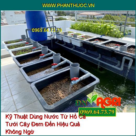 Kỹ Thuật Dùng Nước Từ Hồ Cá Tưới Cây Đem Đến Hiệu Quả Không Ngờ