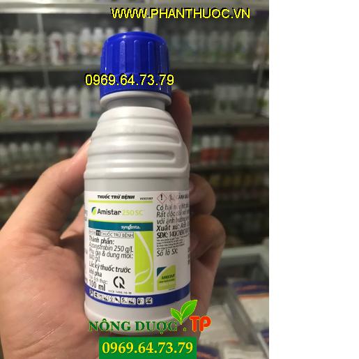 Những Loại Sâu Bệnh Gây Hại Trên Cây Rau Dền Mà Bạn Hay Gặp Phải Nhất