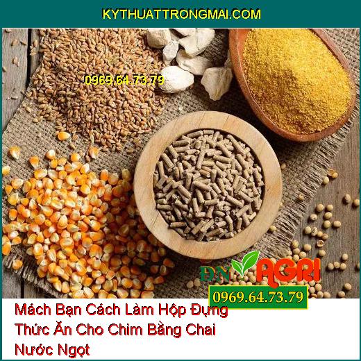 Mách Bạn Cách Làm Hộp Đựng Thức Ăn Cho Chim Bằng Chai Nước Ngọt 