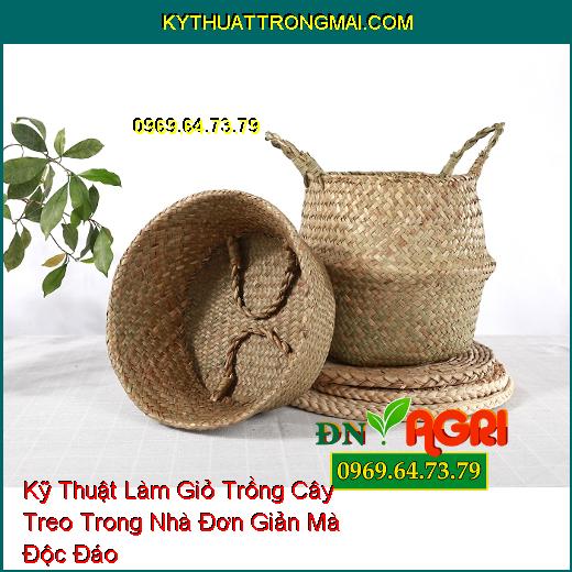 Kỹ Thuật Làm Giỏ Trồng Cây Treo Trong Nhà Đơn Giản Mà Độc Đáo