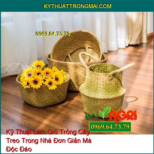 Kỹ Thuật Làm Giỏ Trồng Cây Treo Trong Nhà Đơn Giản Mà Độc Đáo