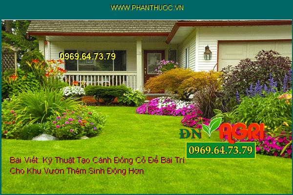 Kỹ Thuật Tạo Cánh Đồng Cỏ Để Bài Trí Cho Khu Vườn Thêm Sinh Động Hơn