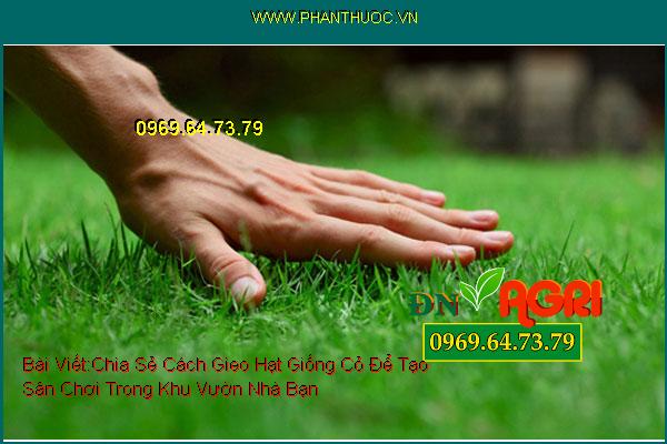 Chia Sẻ Cách Gieo Hạt Giống Cỏ Để Tạo Sân Chơi Trong Khu Vườn Nhà Bạn