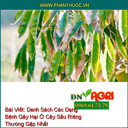 Bệnh nấm hồng do nấm gây nên ở sầu riêng