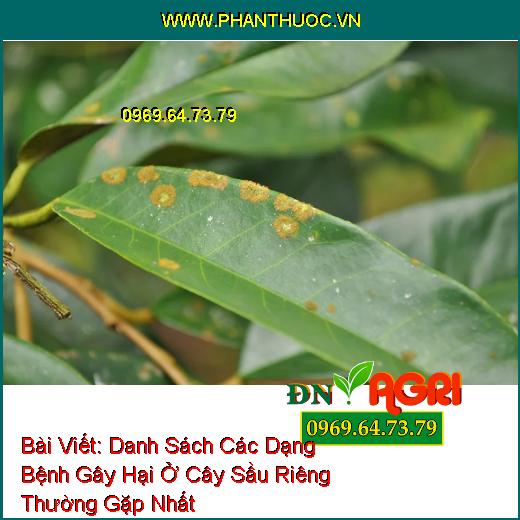 Bệnh nấm hồng do nấm gây nên ở sầu riêng