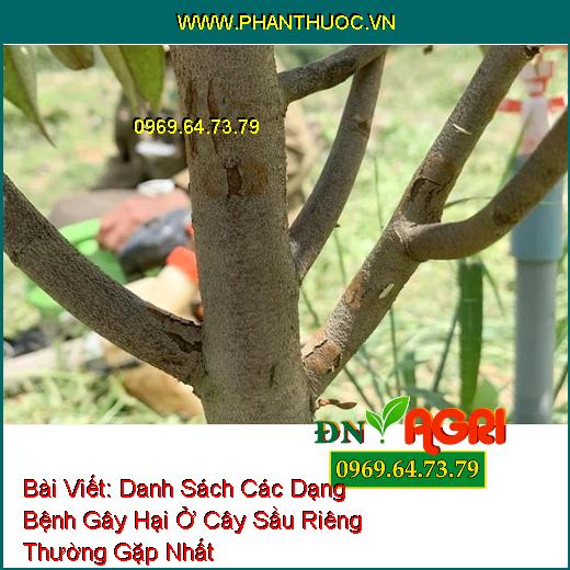 Bệnh nấm hồng do nấm gây nên ở sầu riêng