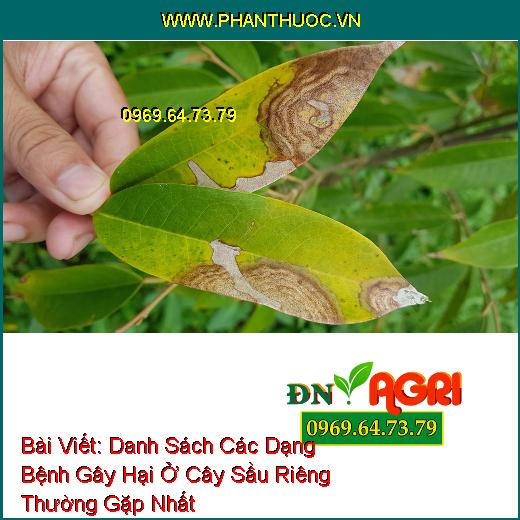 Bệnh nấm hồng do nấm gây nên ở sầu riêng