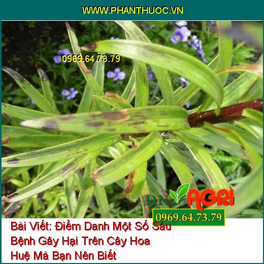 Điểm Danh Một Số Sâu Bệnh Gây Hại Trên Cây Hoa Huệ Mà Bạn Nên Biết