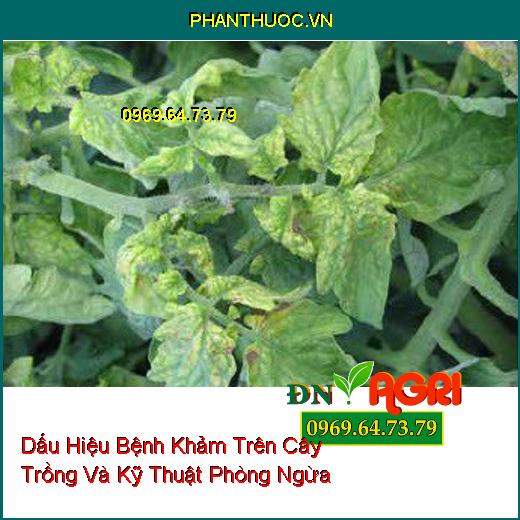 Dấu Hiệu Bệnh Khảm Trên Cây Trồng Và Kỹ Thuật Phòng Ngừa