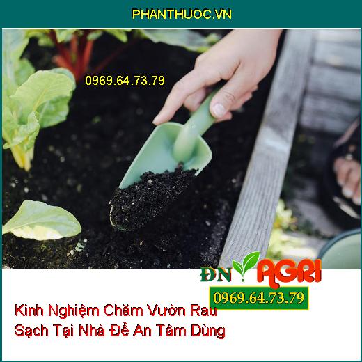 Kinh Nghiệm Chăm Vườn Rau Sạch Tại Nhà Để An Tâm Dùng