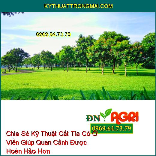 Chia Sẻ Kỹ Thuật Cắt Tỉa Cỏ Ở Viền Giúp Quan Cảnh Được Hoàn Hảo Hơn