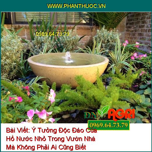 Ý Tưởng Độc Đáo Của Hồ Nước Nhỏ Trong Vườn Nhà Mà Không Phải Ai Cũng Biết