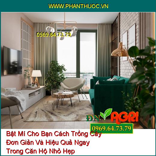 Bật Mí Cho Bạn Cách Trồng Cây Đơn Giản Và Hiệu Quả Ngay Trong Căn Hộ Nhỏ Hẹp