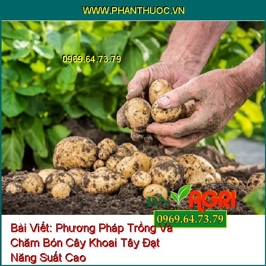 Phương Pháp Trồng Và Chăm Bón Cây Khoai Tây Đạt Năng Suất Cao