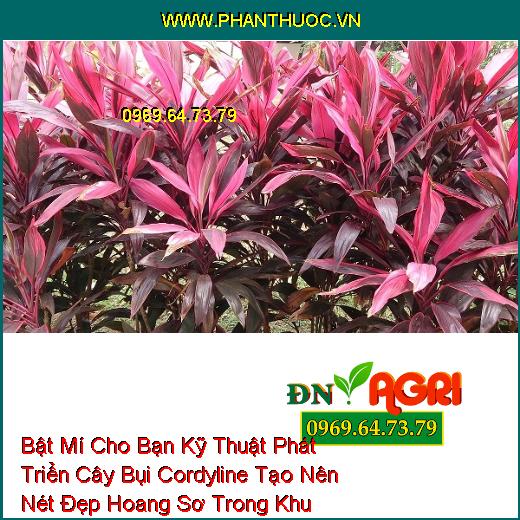 Bật Mí Cho Bạn Kỹ Thuật Phát Triển Cây Bụi Cordyline Tạo Nên Nét Đẹp Hoang Sơ Trong Khu Vườn