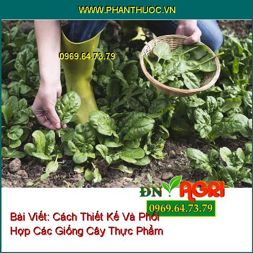 Cách Thiết Kế Và Phối Hợp Các Giống Cây Thực Phẩm