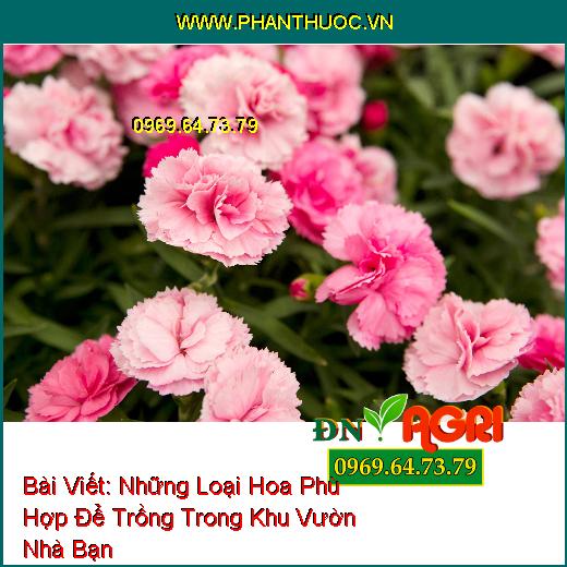 Những Loại Hoa Phù Hợp Để Trồng Giúp Khu Vườn Nhỏ Của Bạn Trở Nên Lung Linh Hơn