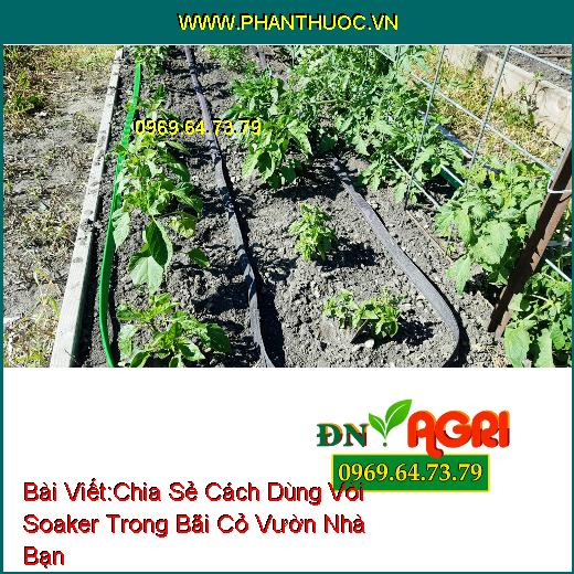 Chia Sẻ Cách Dùng Vòi Soaker Trong Bãi Cỏ Vườn Nhà Bạn