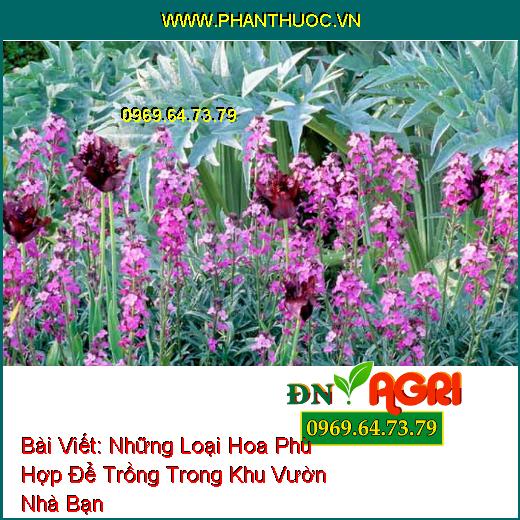 Những Loại Hoa Phù Hợp Để Trồng Giúp Khu Vườn Nhỏ Của Bạn Trở Nên Lung Linh Hơn